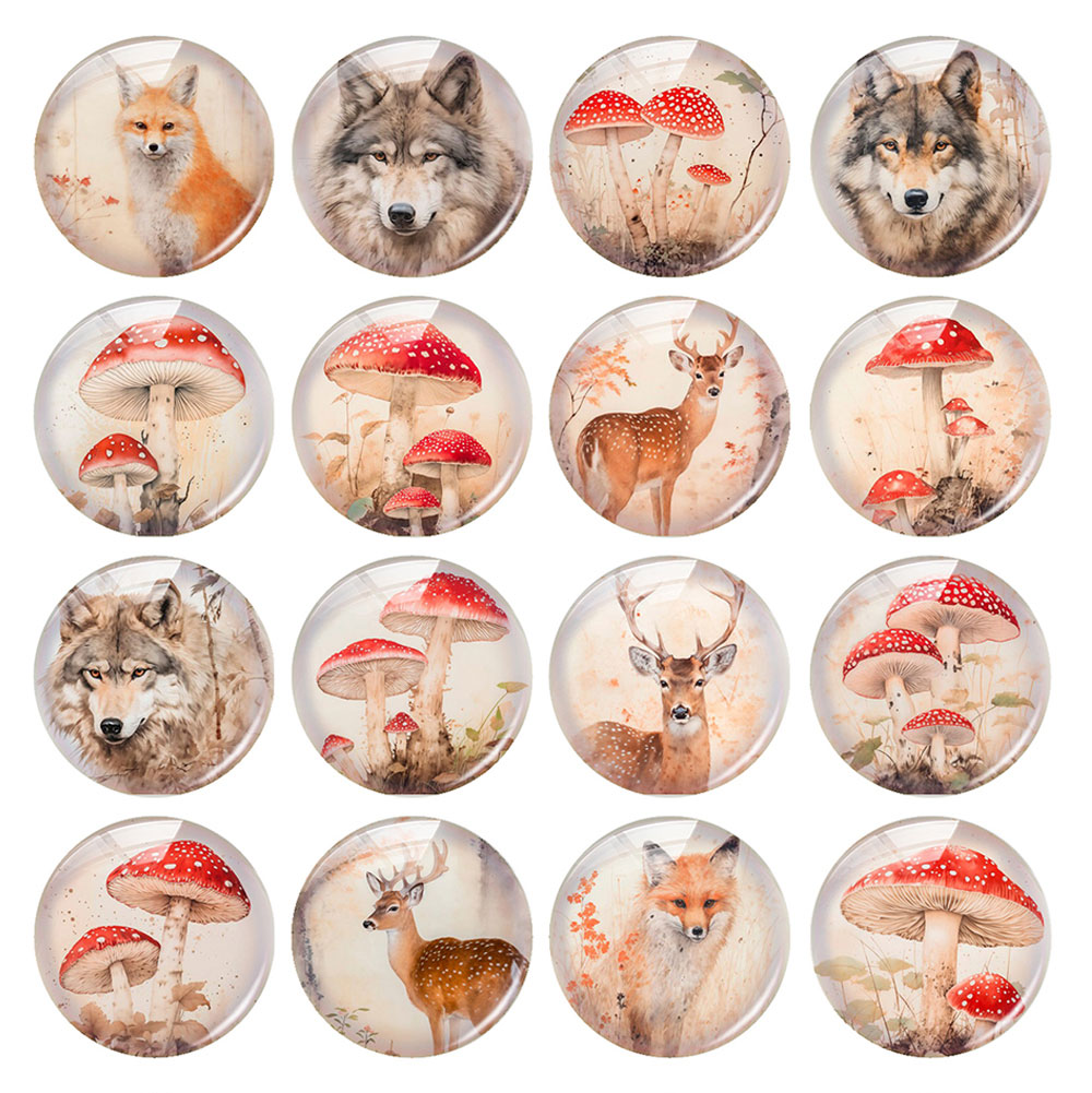 Random Mixed Round/Oval/Square - Wolf Jewelry & Watches Tampa 评论和价格
